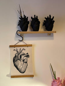 Anatomical Heart Canvas Poster