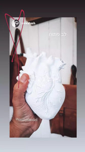 Anatomical Heart Vase - White