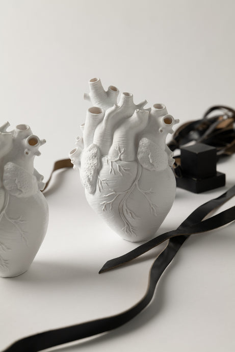 Anatomical Heart Vase - White