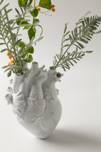 Load image into Gallery viewer, Anatomical Heart Vase - White