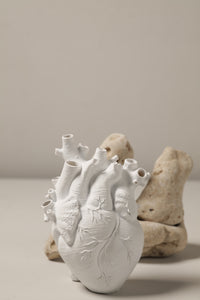 Anatomical Heart Vase - White